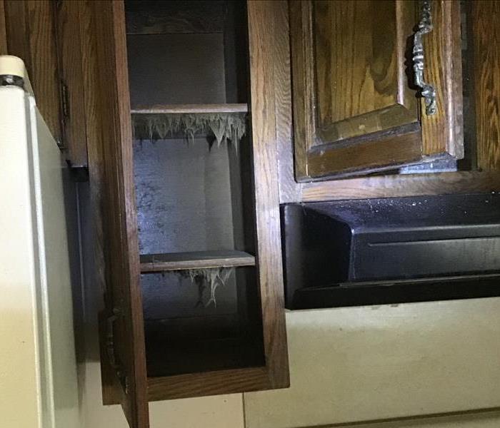 Cupboard with mold hanging from the shelves. 