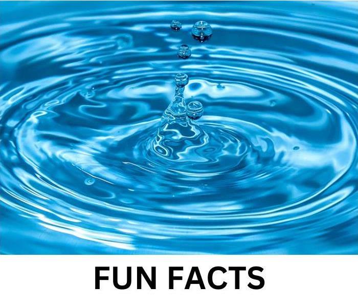 Water and says 'Fun Facts'.